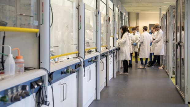 PhD students in the laboratories of the Van 't Hoff Institute for Molecular Sciences at the University of Amsterdam.